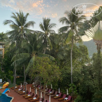 фото из отзыва ID 2597847