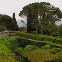 фото из отзыва ID 2595484