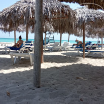 фото из отзыва ID 2597963