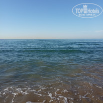 фото из отзыва ID 2596753