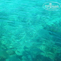 фото из отзыва ID 2598083