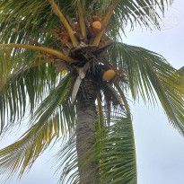 фото из отзыва ID 2598083