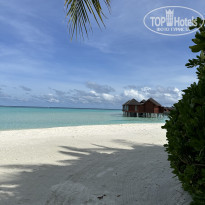 фото из отзыва ID 2598084