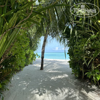 фото из отзыва ID 2598084