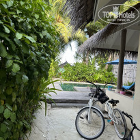 фото из отзыва ID 2598084