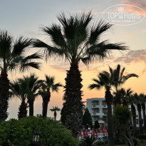 фото из отзыва ID 2598120