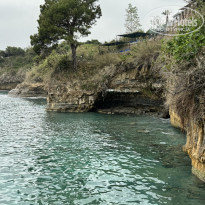 фото из отзыва ID 2598120