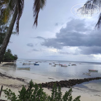 фото из отзыва ID 2598187