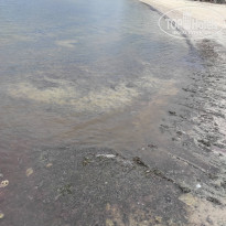 фото из отзыва ID 2598187