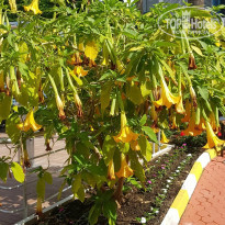 фото из отзыва ID 2598370