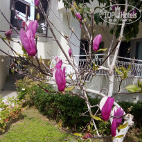 фото из отзыва ID 2598421