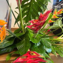 фото из отзыва ID 2598606