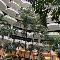 фото из отзыва ID 2598606