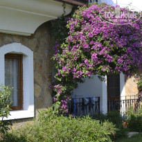 фото из отзыва ID 2598551