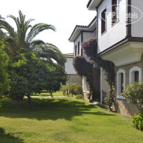 фото из отзыва ID 2598551