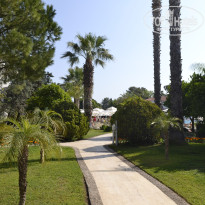 фото из отзыва ID 2598551