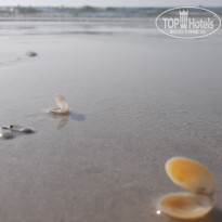 фото из отзыва ID 2598828