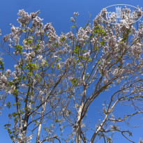 фото из отзыва ID 2598867