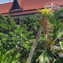 фото из отзыва ID 2598815