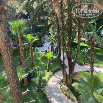 фото из отзыва ID 2599009