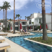 фото из отзыва ID 2599015