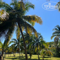 фото из отзыва ID 2599100