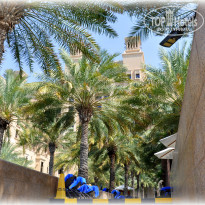 фото из отзыва ID 2599161