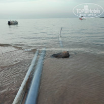 фото из отзыва ID 2599173