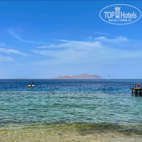 фото из отзыва ID 2599220