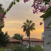 фото из отзыва ID 2599238