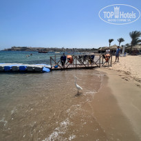 фото из отзыва ID 2599335