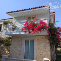 фото из отзыва ID 2599364