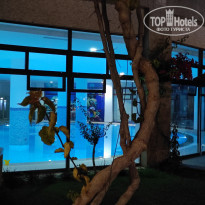 фото из отзыва ID 2599364