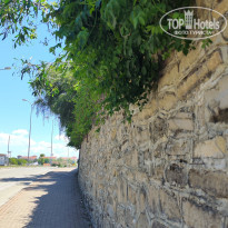 фото из отзыва ID 2599342