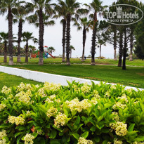 фото из отзыва ID 2599342