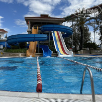 фото из отзыва ID 2599428