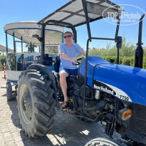 фото из отзыва ID 2599428