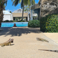 фото из отзыва ID 2599501