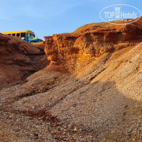 фото из отзыва ID 2599501