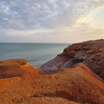 фото из отзыва ID 2599501