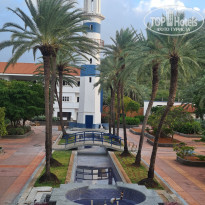 фото из отзыва ID 2599501