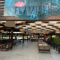 фото из отзыва ID 2599582