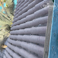 фото из отзыва ID 2599621