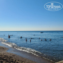 фото из отзыва ID 2599625