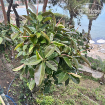 фото из отзыва ID 2599681