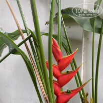 фото из отзыва ID 2590486