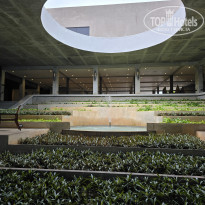 фото из отзыва ID 2599766