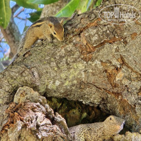 фото из отзыва ID 2599766