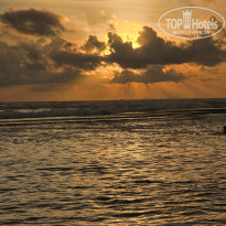 фото из отзыва ID 2599766