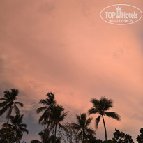 фото из отзыва ID 2599766